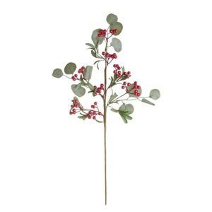 FLORISTA eukaliptusz ág piros bogyókkal 70cm kép