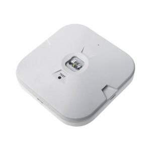 Greenlux LED vészvilágító lámpa GATRION LED/1W/230V 6000K 1500 mAh IP54 fehér kép
