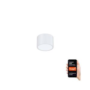 NEO 07024L-15 - LED dimmelhető mennyezeti lámpa RONDATE LED/12W/230V Tuya 07024L-15 kép
