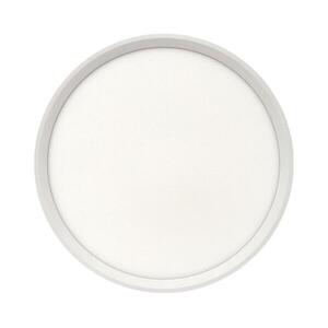 LED Mennyezeti lámpa LED/24W/230V 6500K kép