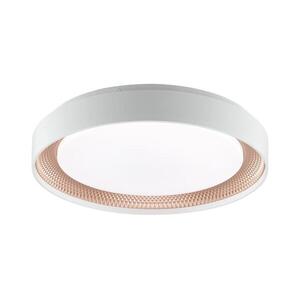 Brilliant - dimmelhető LED mennyezeti lámpatest WALDO LED/24W/230V fehér/rózsaarany + távirányító G82015/85 kép