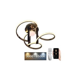 LED állítható mennyezeti lámpa LED/70W/230V 3000-6500K + DO J3333/GCH kép