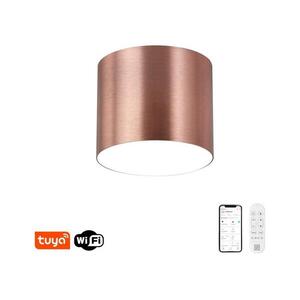 NEO 07319L - RONDATE LED mennyezeti lámpa, dimmelhető, 18W/230V, 11, 5 cm, Wi-Fi Tuya rózsaszín 07319L kép