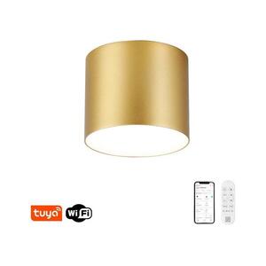 NEO 07317L - dimmelhető LED mennyezeti lámpa RONDATE 18W/230V 11, 5cm Wi-Fi Tuya aranyszínű 07317L kép