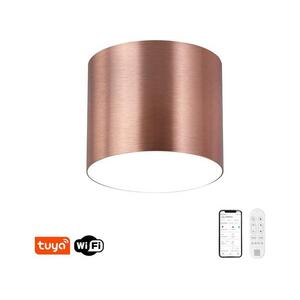 NEO 07320L - RONDATE LED dimmelhető mennyezeti lámpa 32W/230V 16, 5 cm Wi‑Fi Tuya rózsaszín 07320L kép