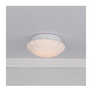 Där Lighting Där Lighting CAF502 - CAFE fürdőszobai mennyezeti lámpa 1xE27/60W/230V IP44 átm. 27 cm CAF502 kép