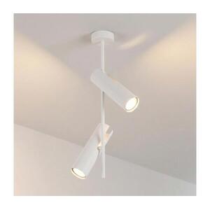 Brilagi - Rudas csillár BRANCH 2xGU10/30W/230V fehér WO-N10-02-WHT-OEM kép