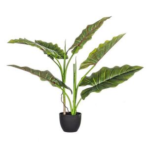 DIEFFENBACHIA zöld művirág 78cm kép