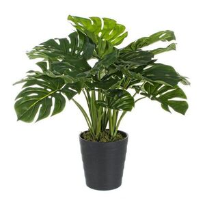 PHILODENDRON IV zöld műanyag művirág kép