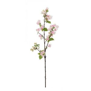PEAR körtefa ág rózsaszín virágokkal 94cm kép