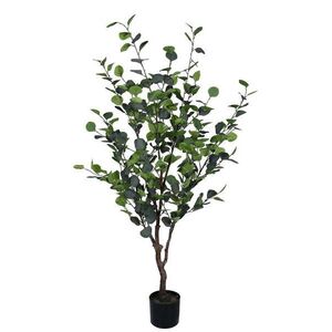 EUCALYPTUS zöld művirág kép
