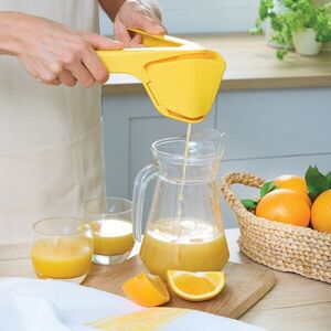 Citrusprés kép