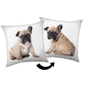 JERRY FABRICS Buldog párna, 40×40 cm kép
