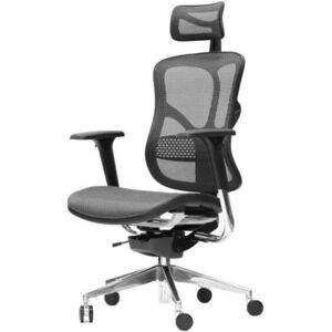 Spinergo Business, fekete kép