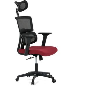 HOMEPRO Belmor bordó kép