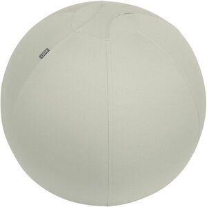 LEITZ Ergo, gurulásgátló nehezékkel, 65 cm, világosszürke kép
