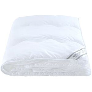 SCANquilt Classic Light kép
