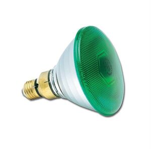 PAR38 240V 80W E27 FL30° Green kép