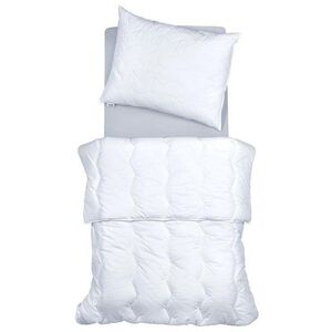 SCANquilt Basic kép