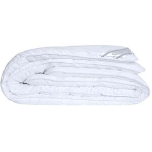 SCANquilt Classic kép