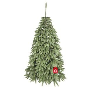 Kaukázusi lucfenyő 2D 150 cm kép