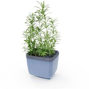 Gusta Garden HERBS BUDDY önöntözős, kék kép