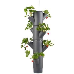 Gusta Garden SISSI STRAWBERRY függő önöntöző virágcserép, 4 szintes, antracit kép