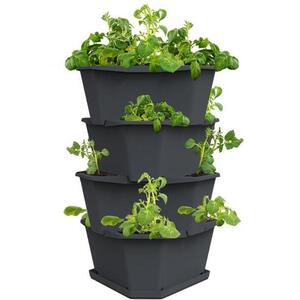 Gusta Garden PAUL POTATO 4 szintes önöntöző virágcserép, antracit kép