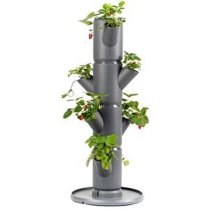 Gusta Garden SISSI STRAWBERRY starter 4 szintes önöntöző virágcserép, antracit kép