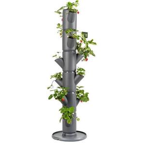 Gusta Garden SISSI STRAWBERRY classic 6 szintes önöntöző virágcserép, antracit kép
