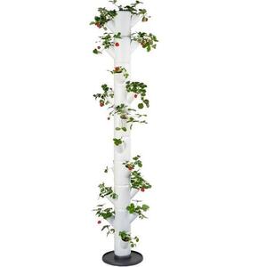 Gusta Garden SISSI STRAWBERRY Infinity 10 szintes önitató virágcserép, fehér kép