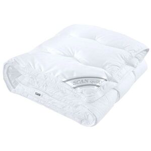 SCANquilt Basic kép