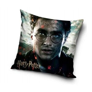 Carbotex Harry Potter párnahuzat, 40×40 cm kép