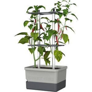 Gusta Garden CHARLY CHILI Standard, világosszürke kép