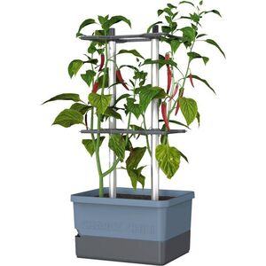Gusta Garden CHARLY CHILI Standard, kék kép