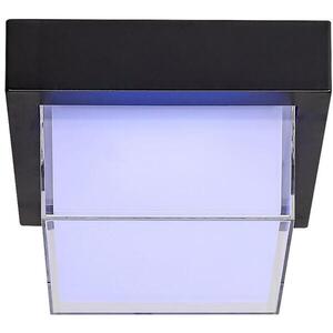 Rábalux Durbe RGBW LED/10 W/230 V IP54 Wi-Fi Tuya kép