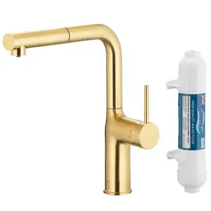 Mosogató csaptelep Duero Pure Move Light Gold vízszűrővel kihúzható kifolyóval kép