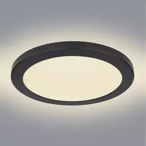 Mennyezeti lámpa 12379-24B LED 24W D30 Fekete PL1 kép