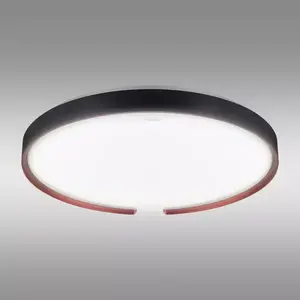 Mennyezeti lámpa ESPERANTO LED C 24W SMART WI-FI 04076 PL1 kép