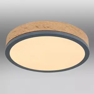 Mennyezet 416080WD1R LED 12W grafit PL kép