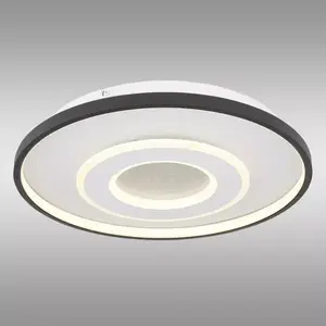 Mennyezeti lámpa Brienna 48552D LED PL1 kép