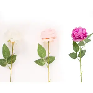 Rózsa átmérő 7 cm 50 cm mix 442652 kép