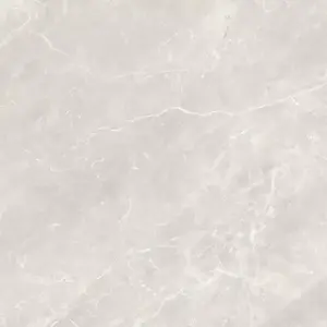 Csempe Terrakotta Balmoral Silver 60/60 kép