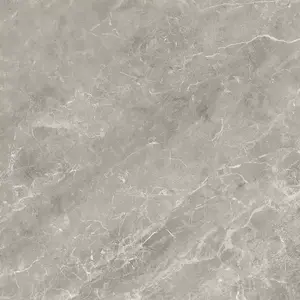Csempe Terrakotta Balmoral Grey 60/60 kép