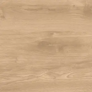Latina Beige 60/60/2 kép