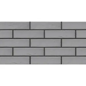 Csempe FOGGIA GRIS 245/65/8 kép