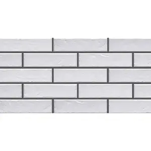 Csempe FOGGIA BIANCO 245/65/8 kép