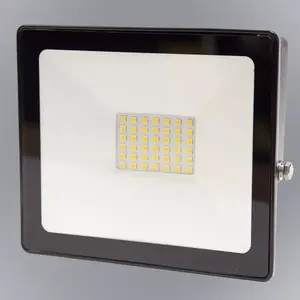 LED FÉNYSZÓRÓ 30W 4200K EM kép