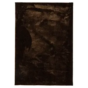Szőnyeg Shaggy Microfiber RS-BSR 1, 4/2, 0 barna kép