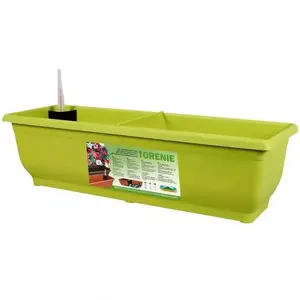 Virágcserép Samonav Torenie 50cm/zöld kép